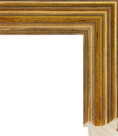 Деревянный багет 256.630.418