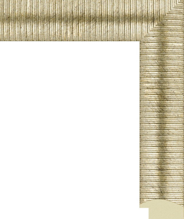 Пластиковый багет 858.OAC.361 2.85